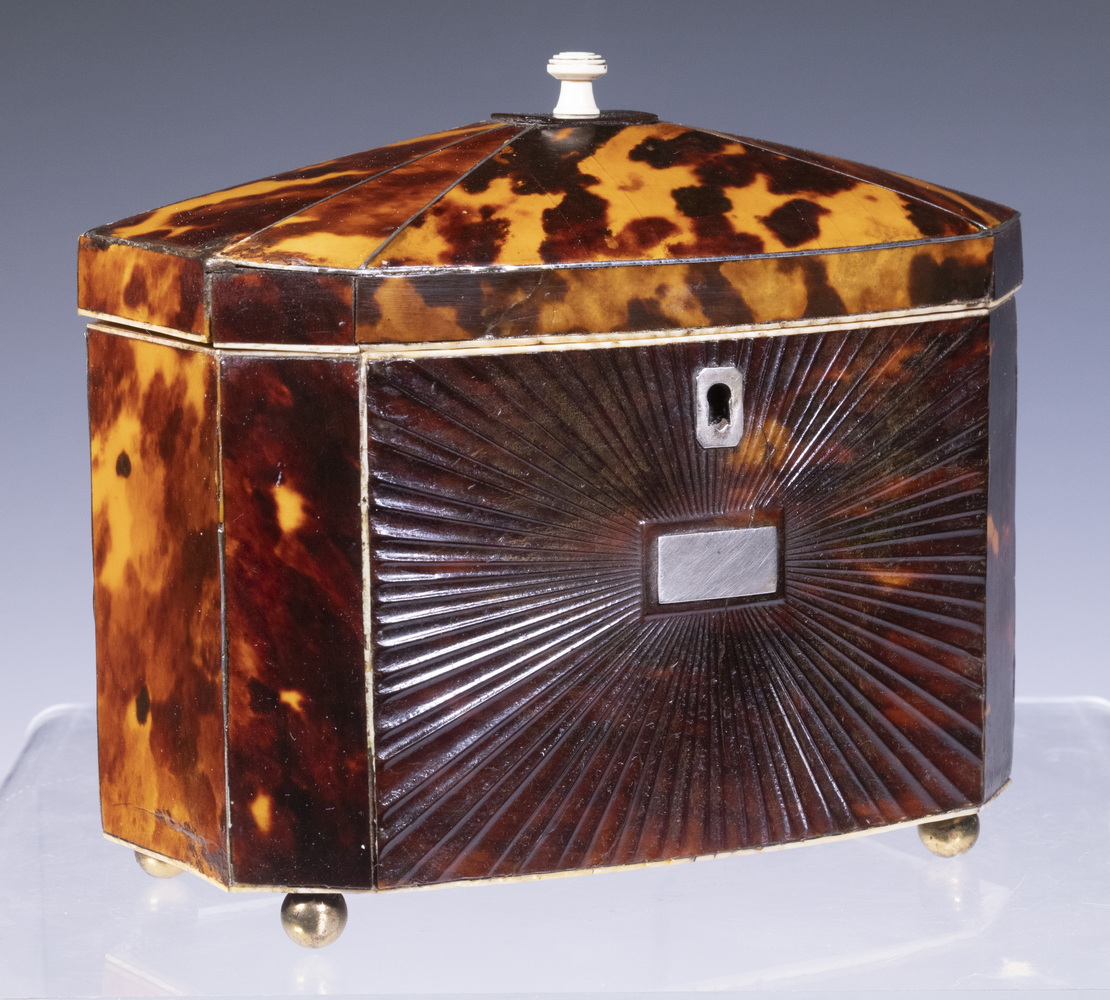 TORTOISESHELL TEA CADDY English