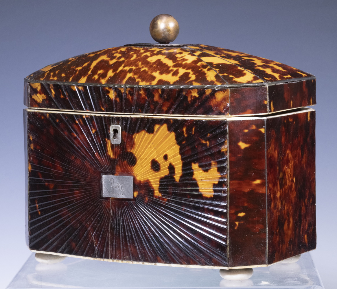 TORTOISESHELL TEA CADDY English 2b158b