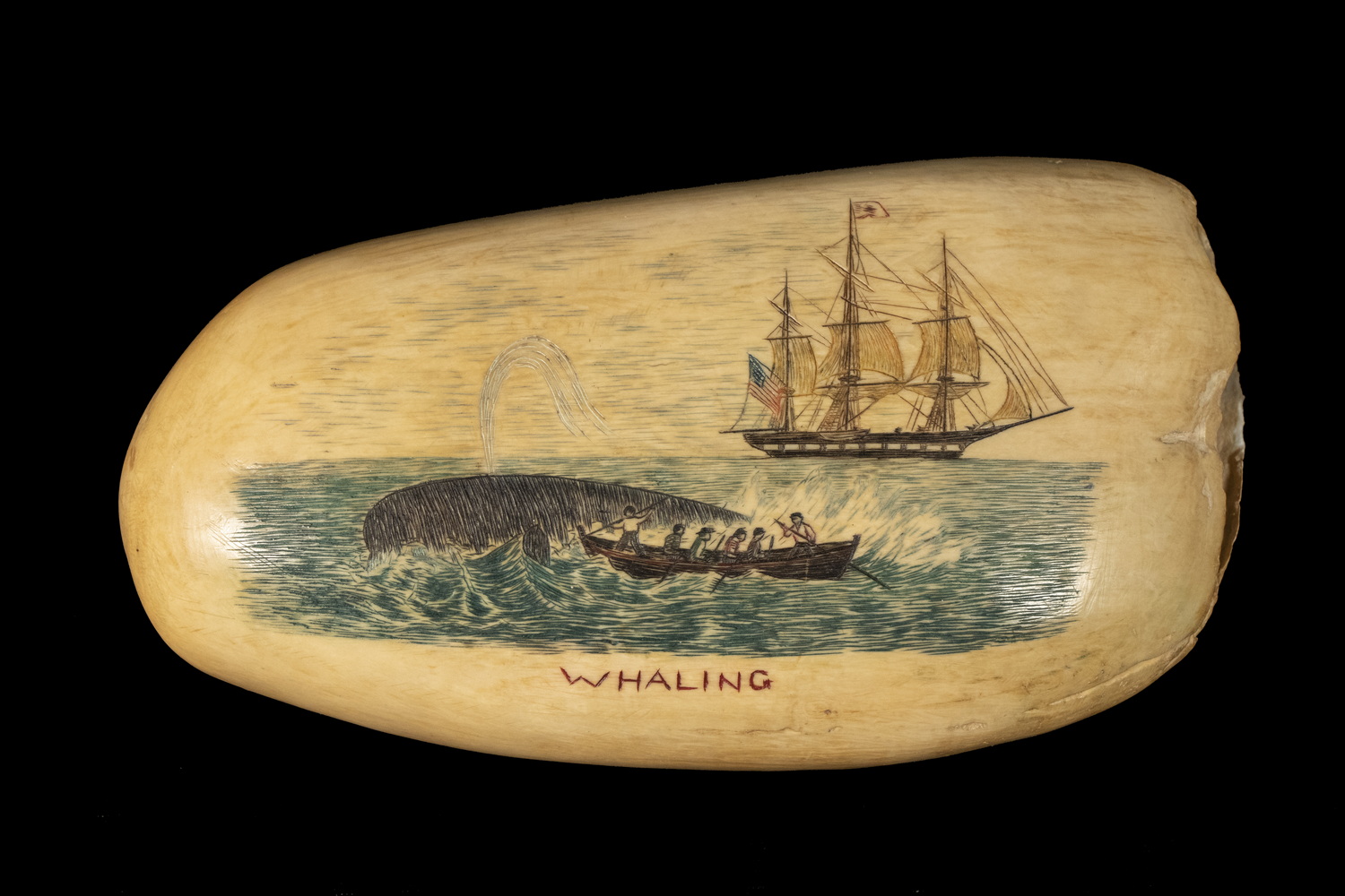 SCRIMSHAW SPERM WHALE TOOTH Harpooning