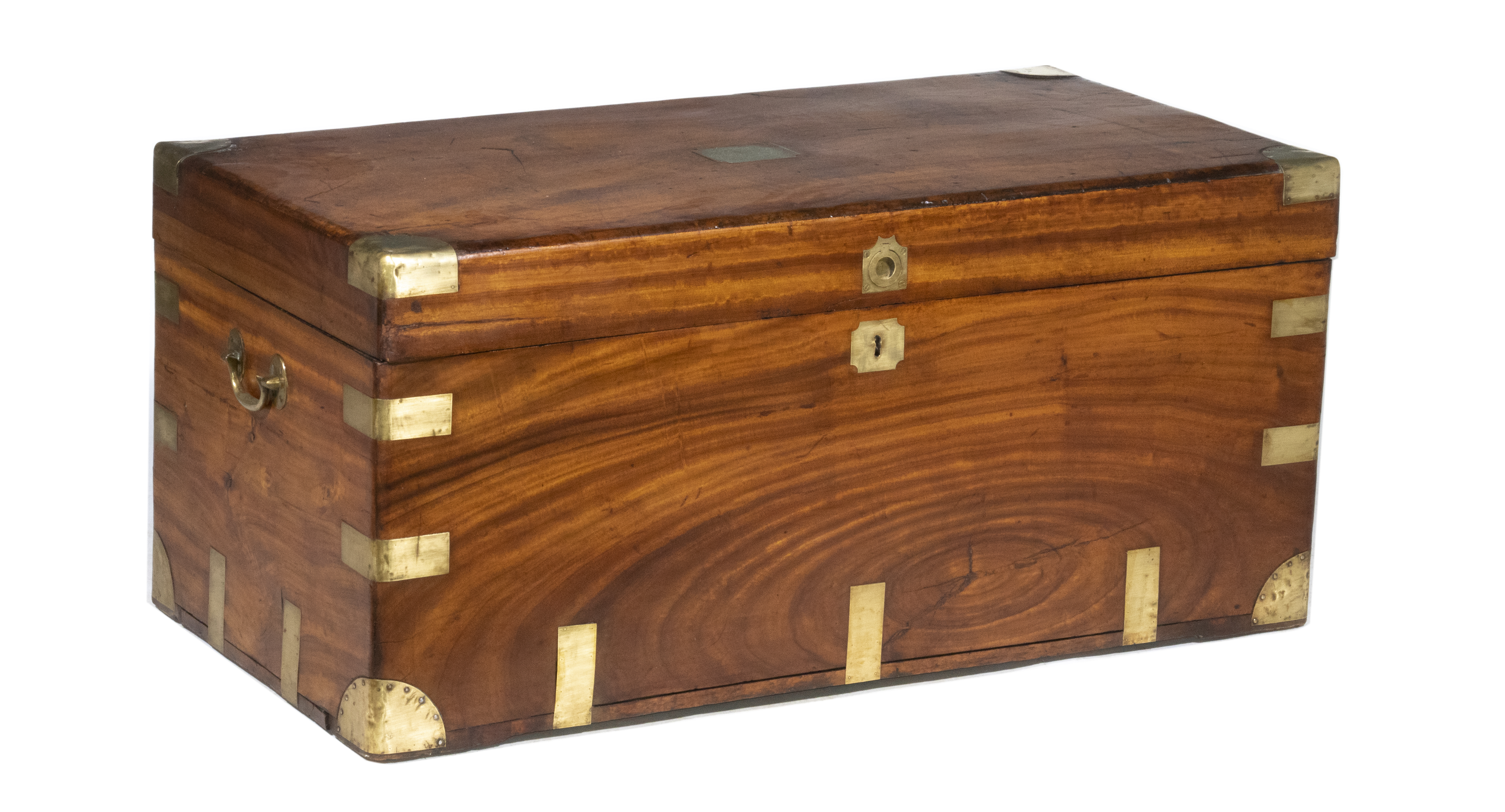 CAMPHORWOOD TRUNK 19th c. Chinese