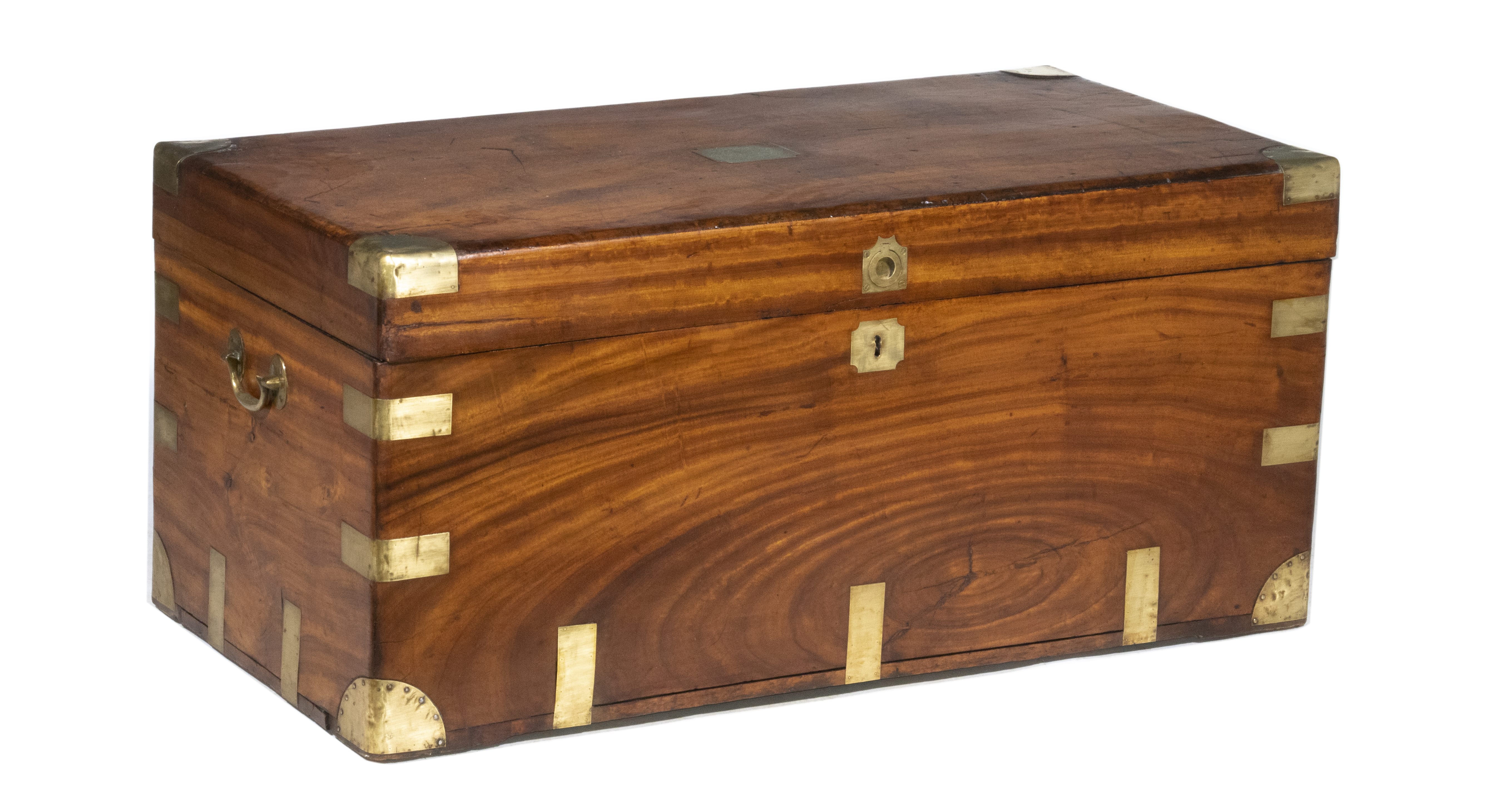 CAMPHORWOOD TRUNK 19th c Chinese 2b441e