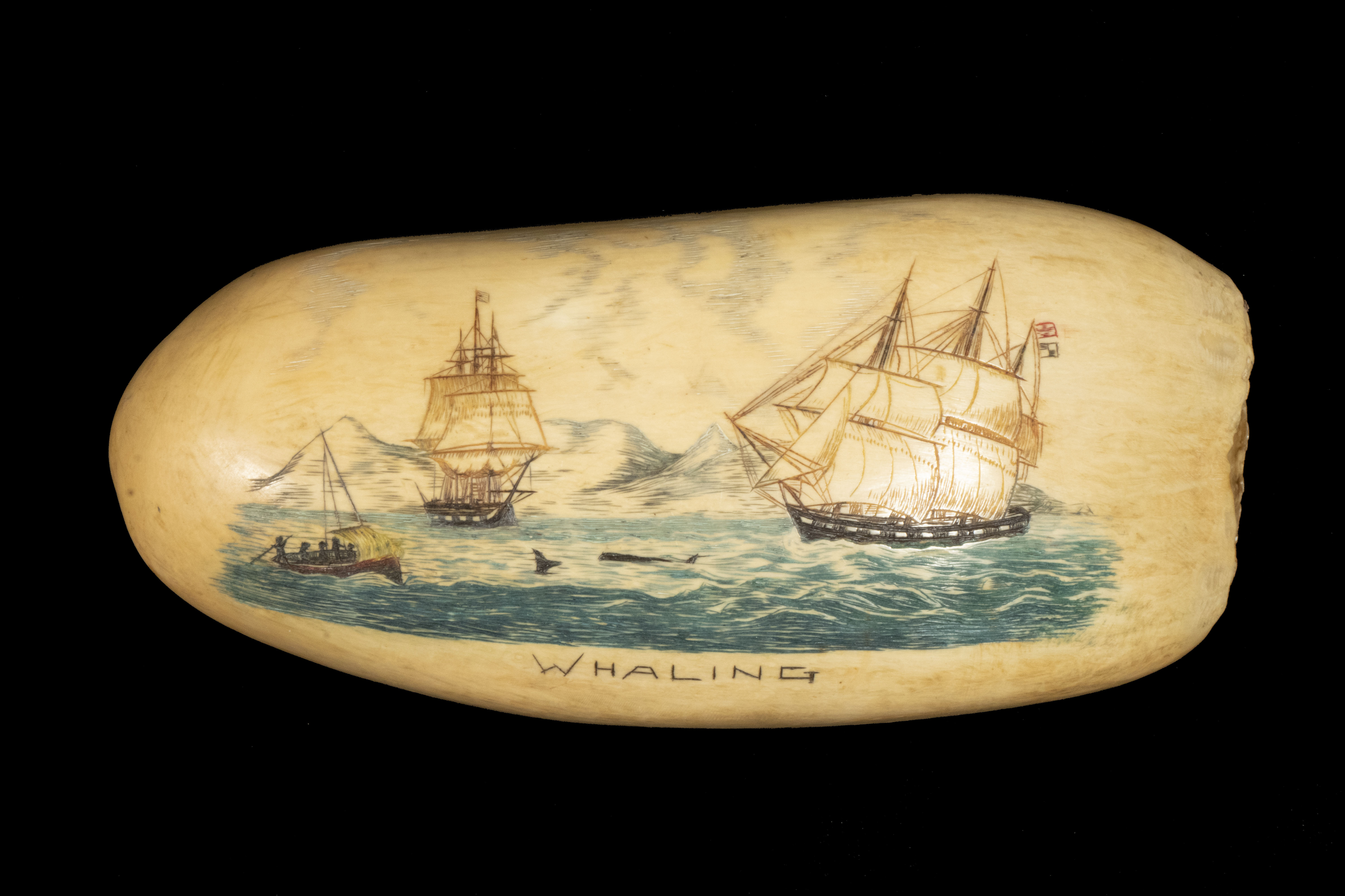 SCRIMSHAW SPERM WHALE TOOTH Whaling  2b4418