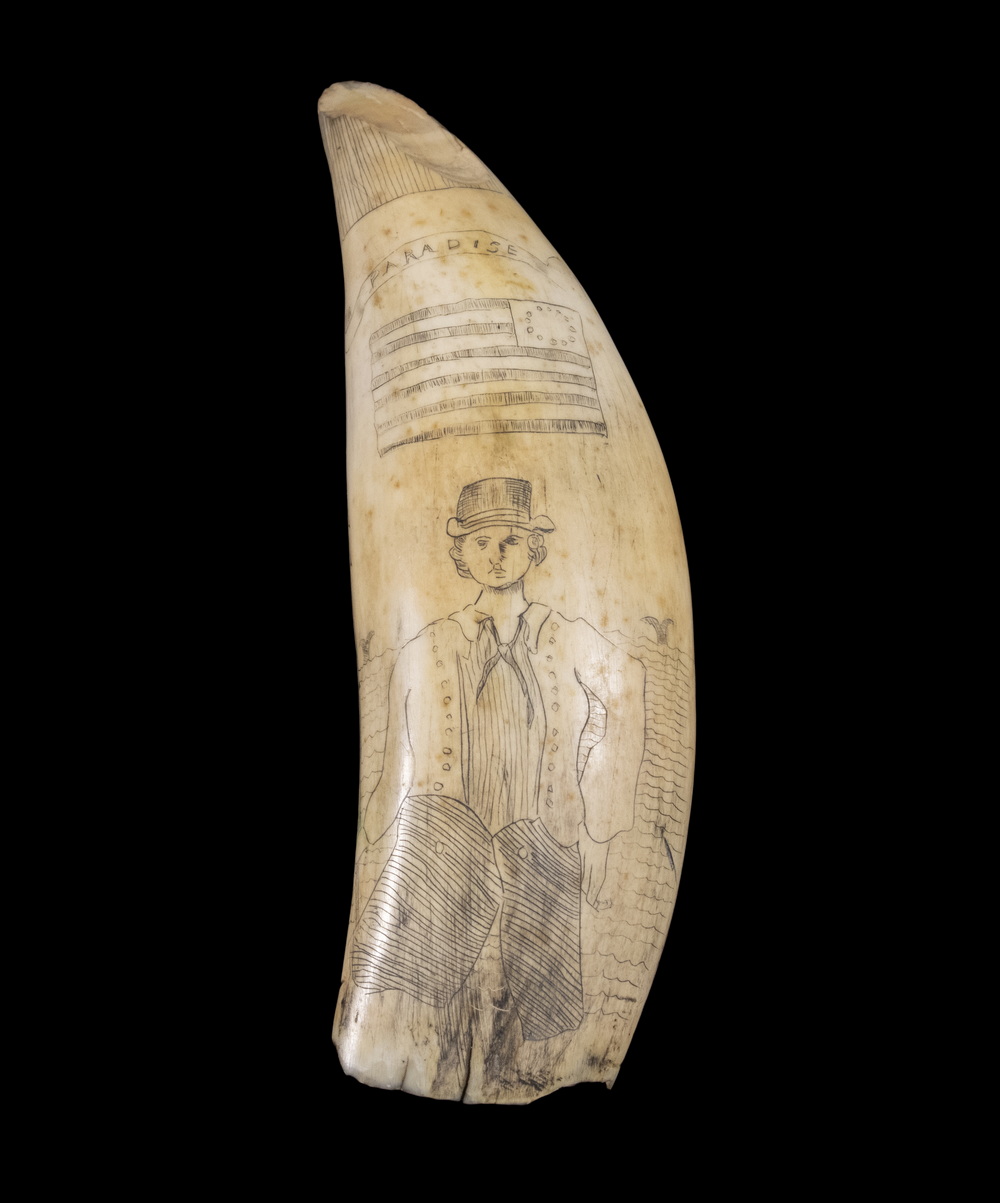 19TH C SCRIMSHAW WHALE S TOOTH 2b4427