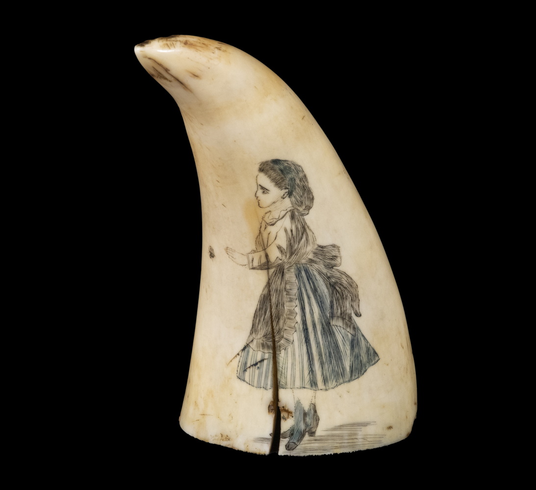 19TH C SCRIMSHAW WHALE S TOOTH 2b4422