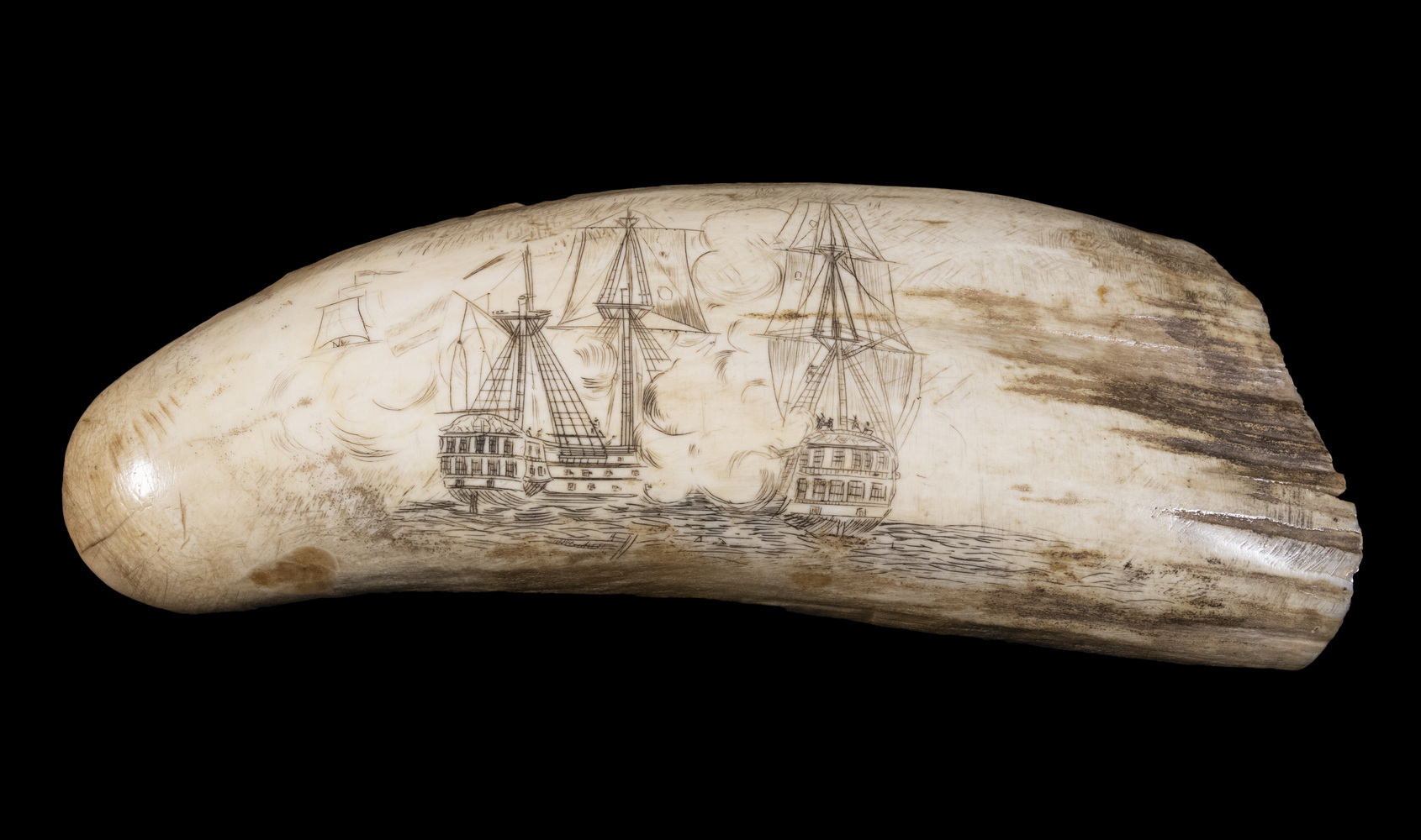 19TH C. SCRIMSHAW BULL WHALE TOOTH