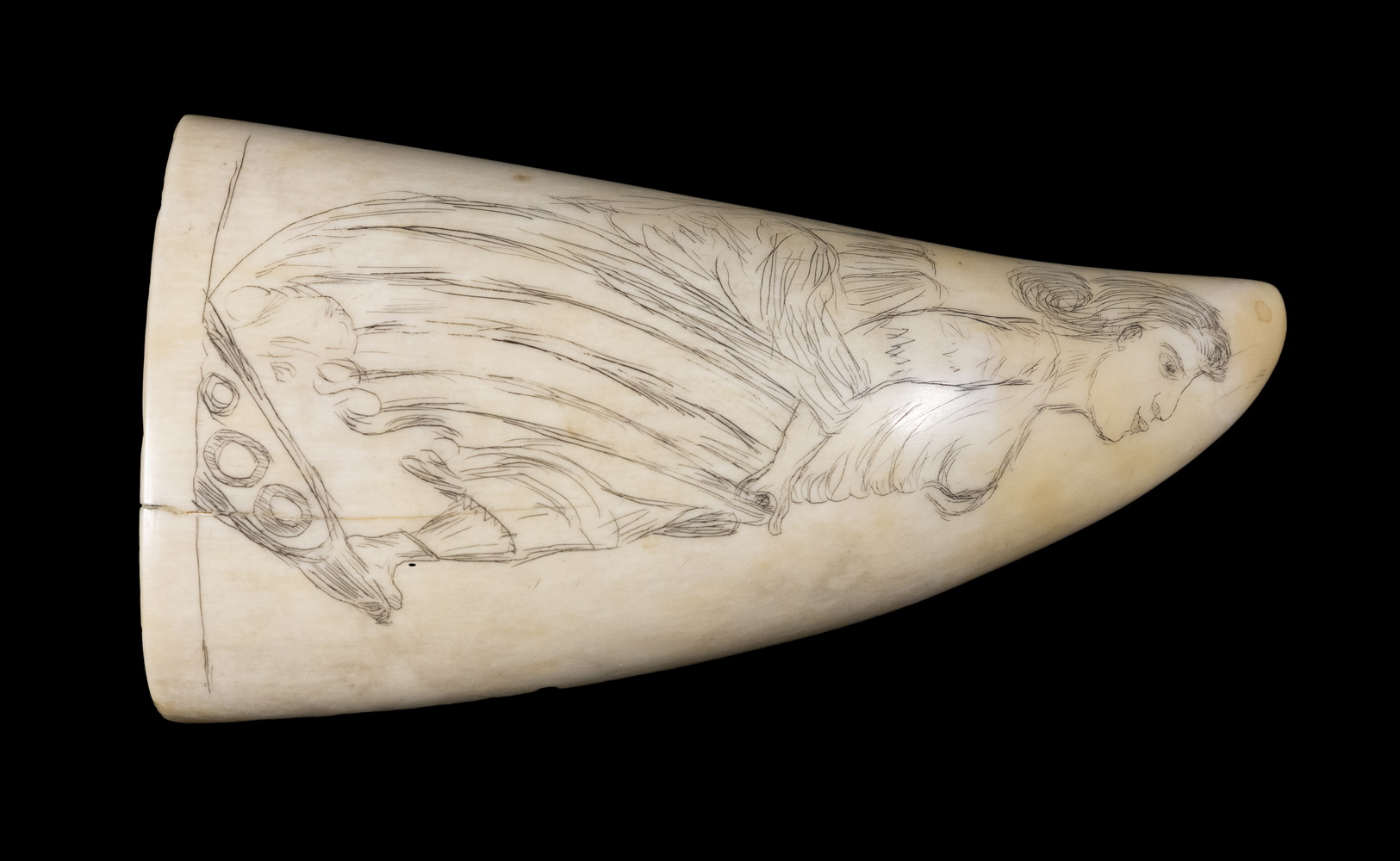19TH C SCRIMSHAW WHALE S TOOTH 2b4435