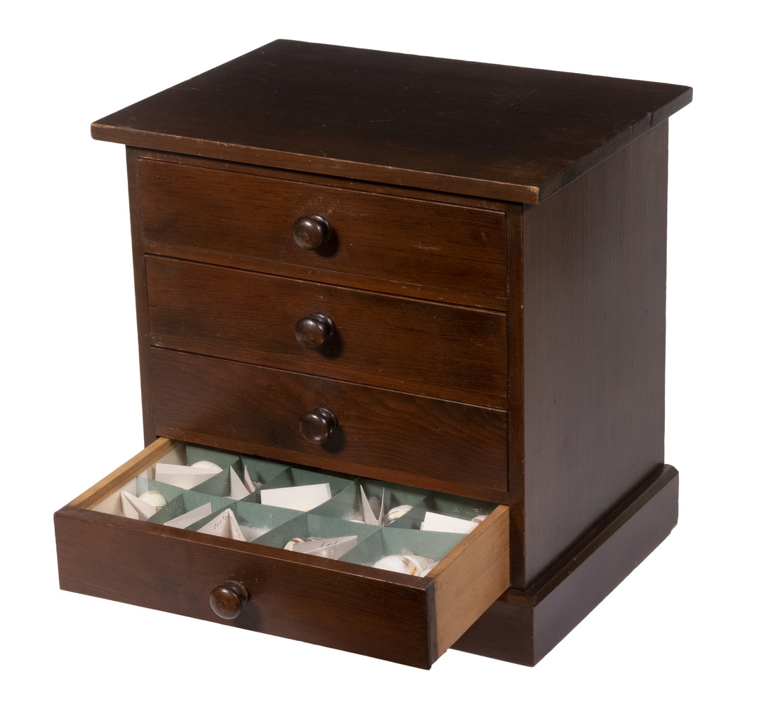 MINIATURE CHEST WITH SHELL COLLECTION 2b3ad1