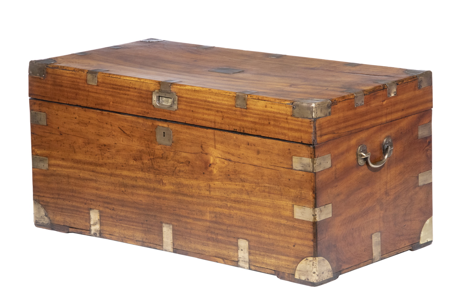 CAMPHORWOOD TRUNK Large 19th c.