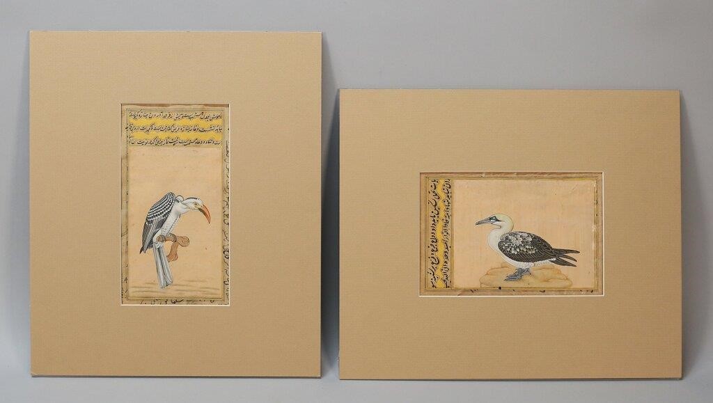 TWO PERSIAN BIRDS ILLUMINATED MANUSCRIPT 2b781e