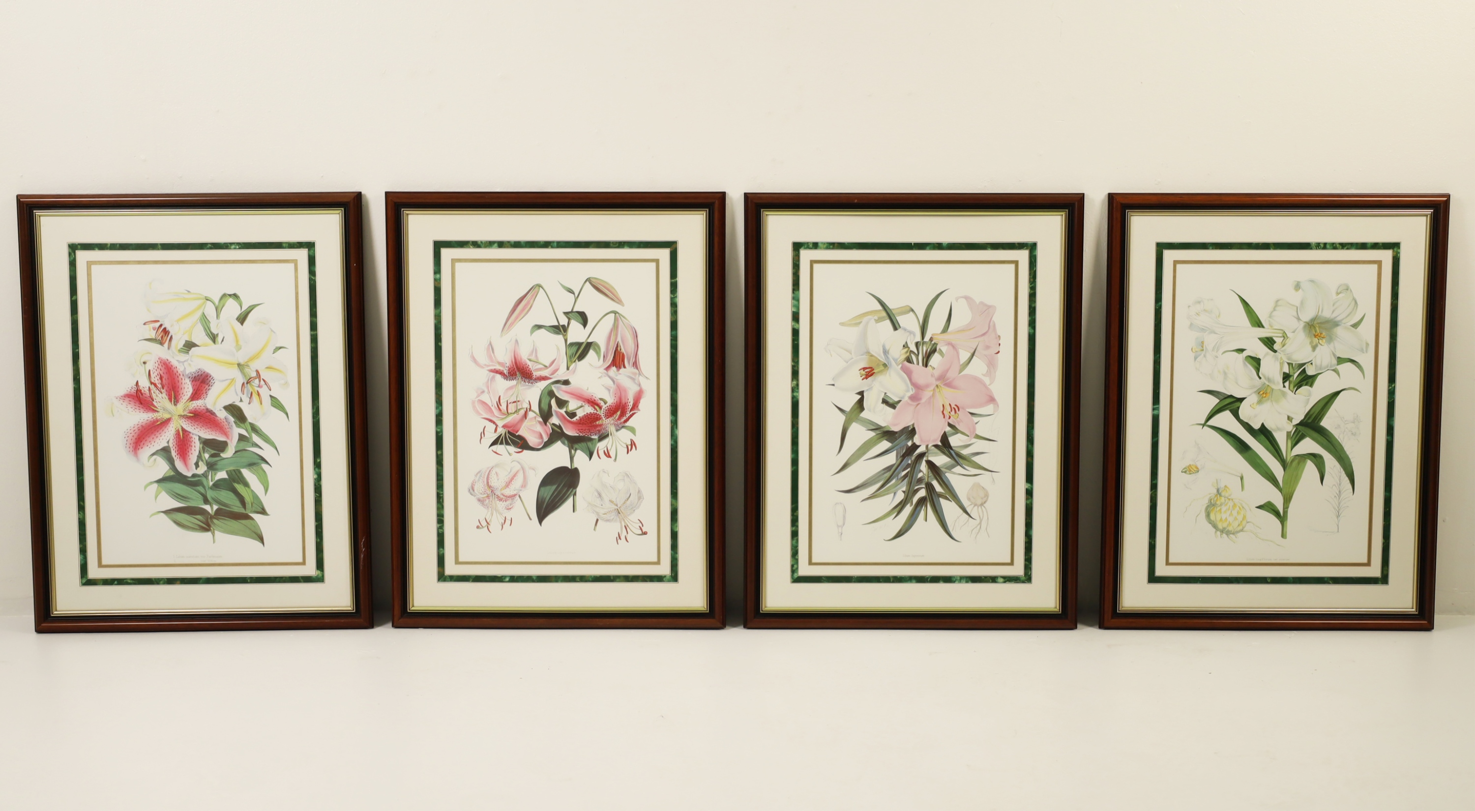 GROUP OF 4 FRAMED BOTANICALS Group