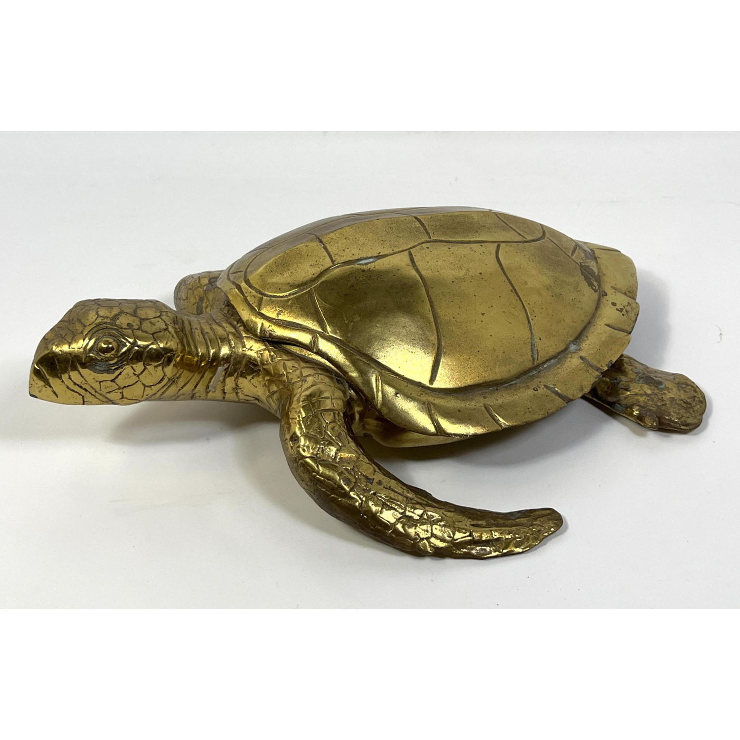18 inch Brass Sea Turtle Figural