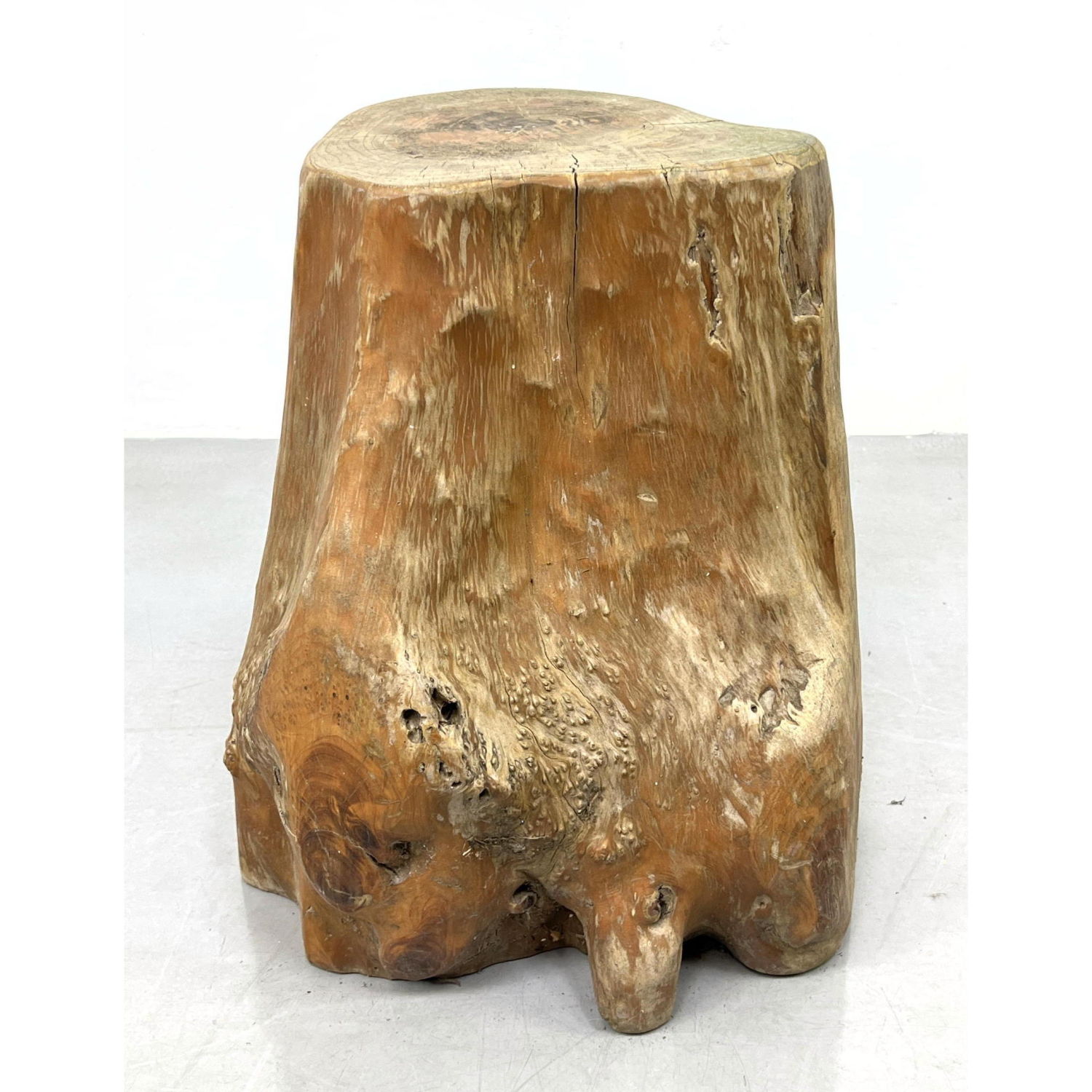 Natural Live Edge Wood Tree Stump