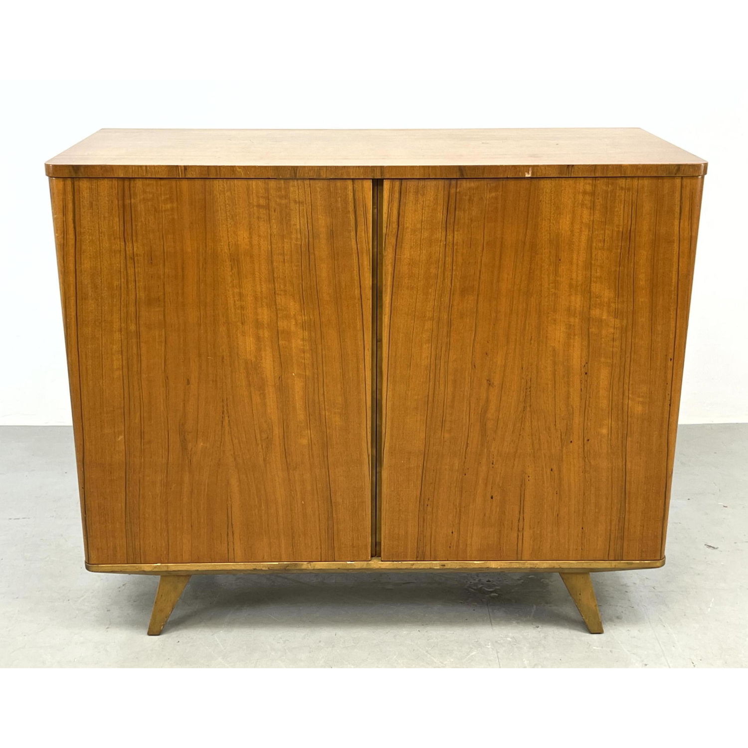 Mid Century Modern Two Door Server Cabinet.