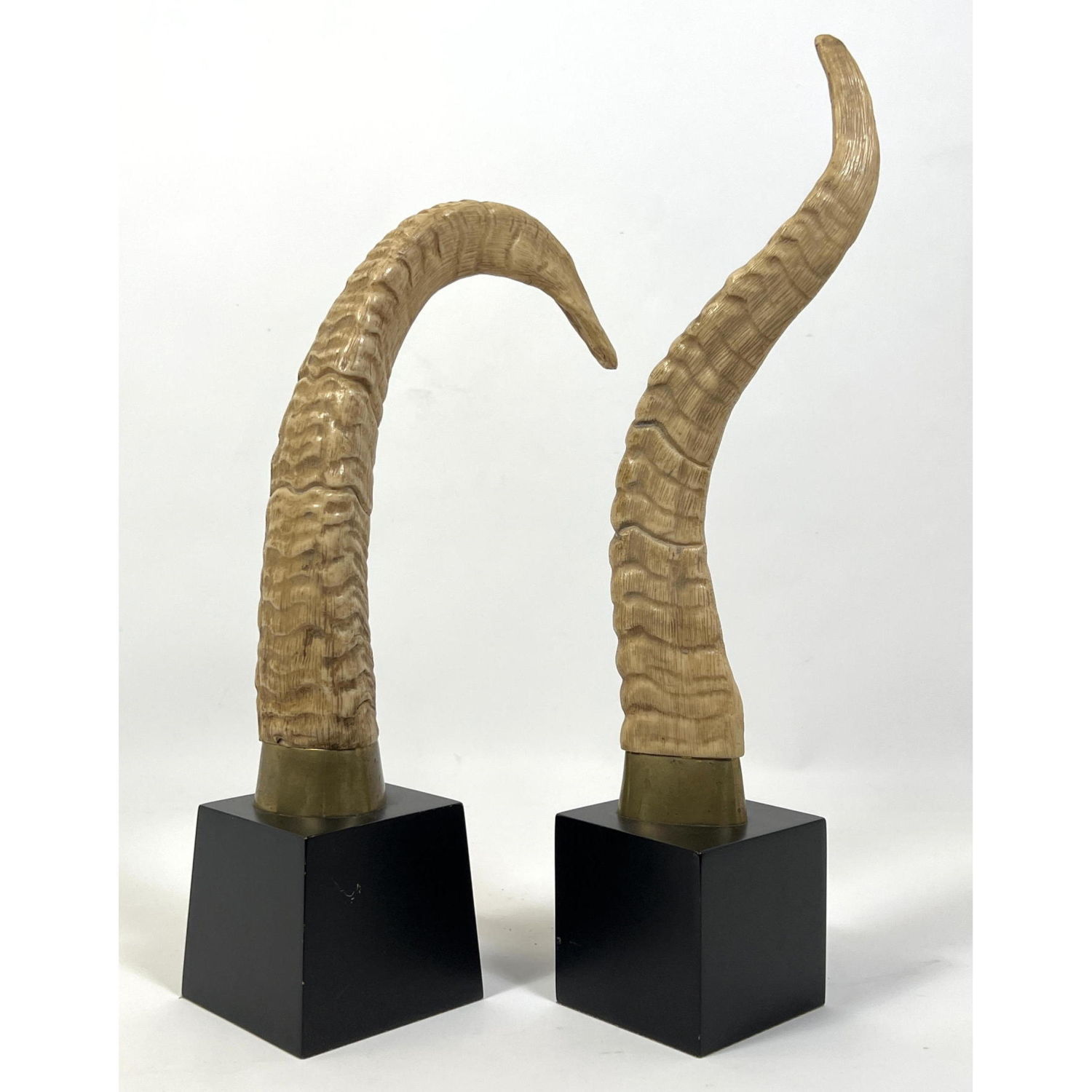 2pc Faux Horn Sculptures on Cube 2b8ac5