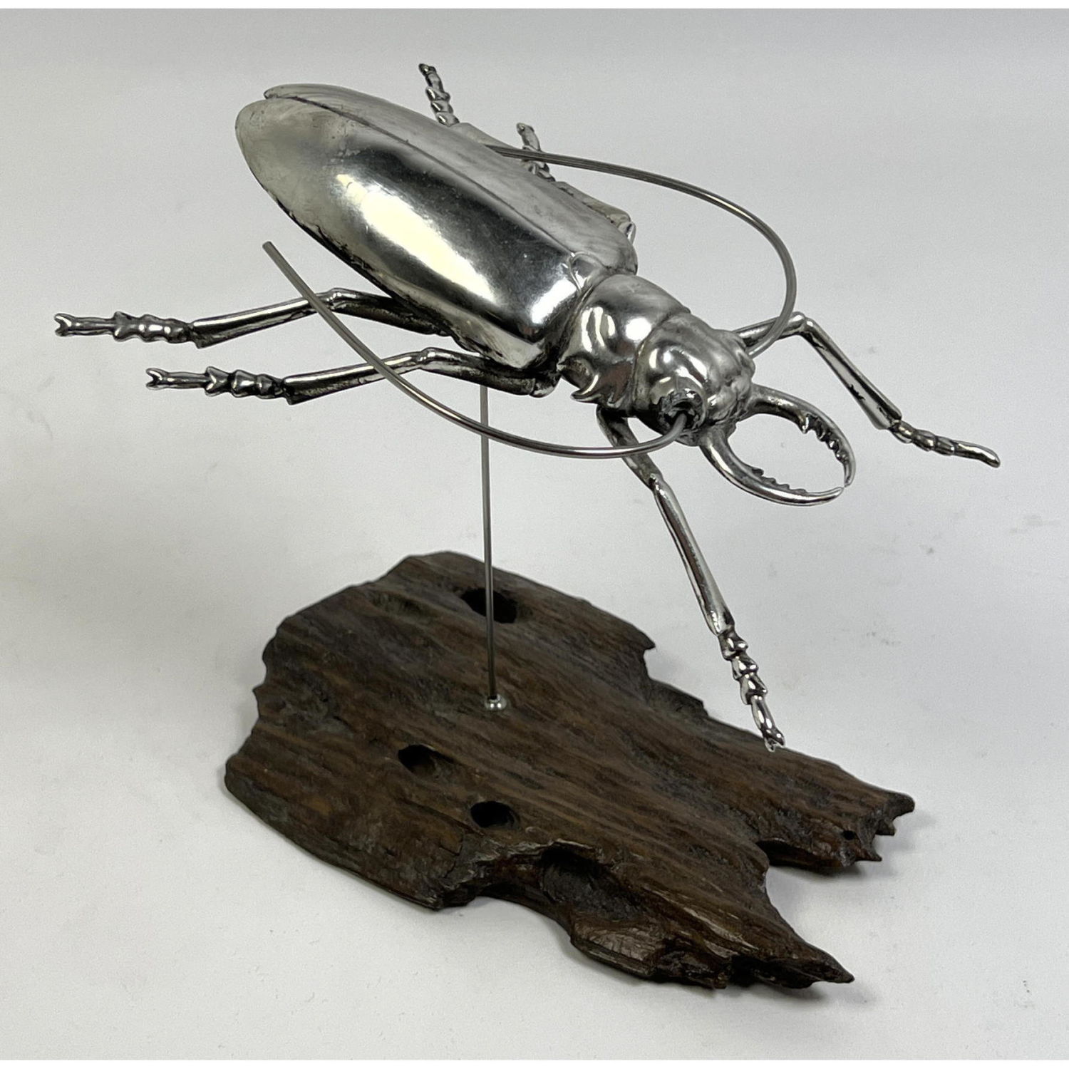 Silvered Beetle Sculpture on Natural 2ba61c