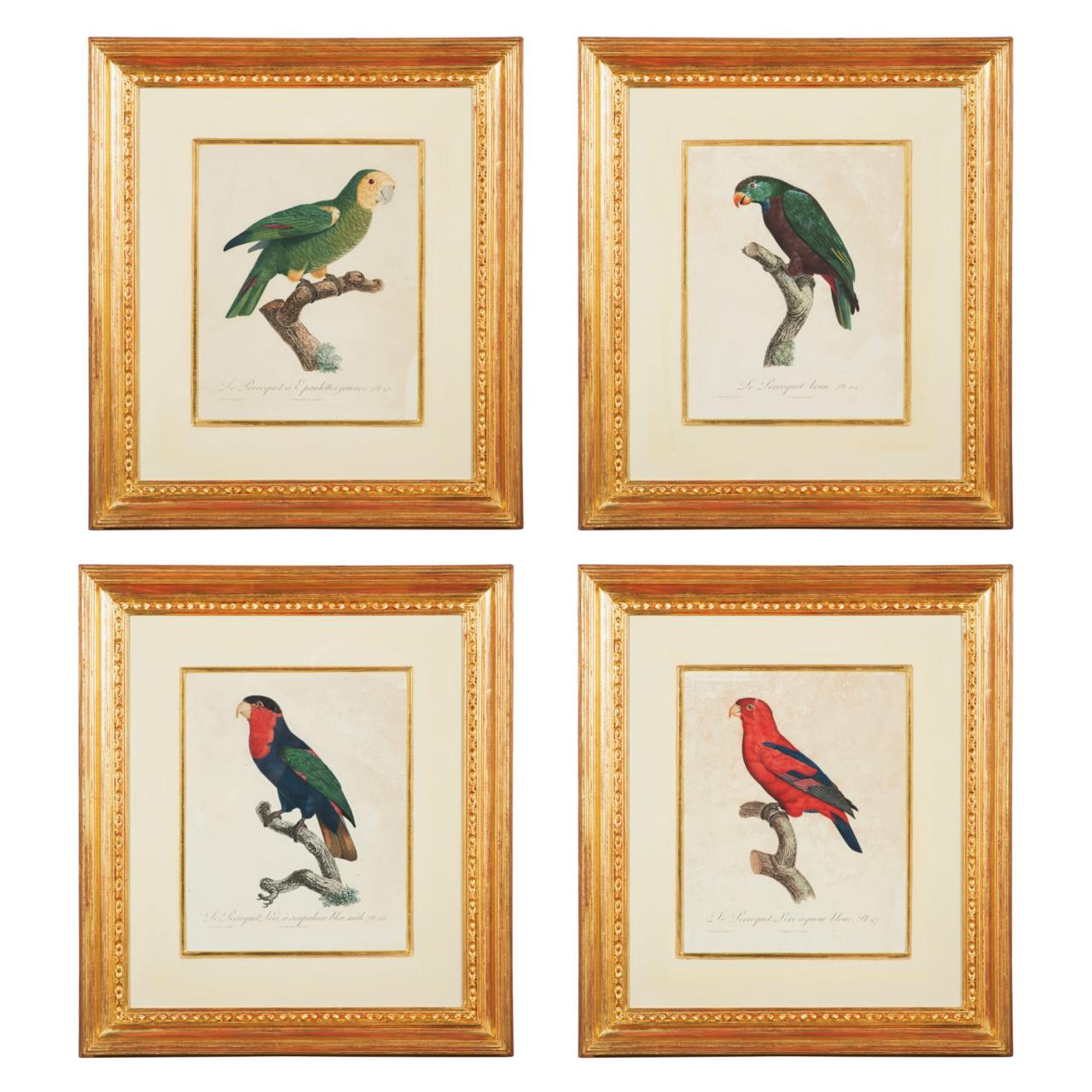 AFTER BARRABAND FOUR PARROT ENGRAVINGS 1801 1805 2bfd91