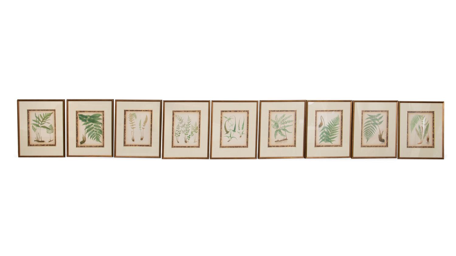 SET OF NINE FRAMED BOTANICAL PRINTS