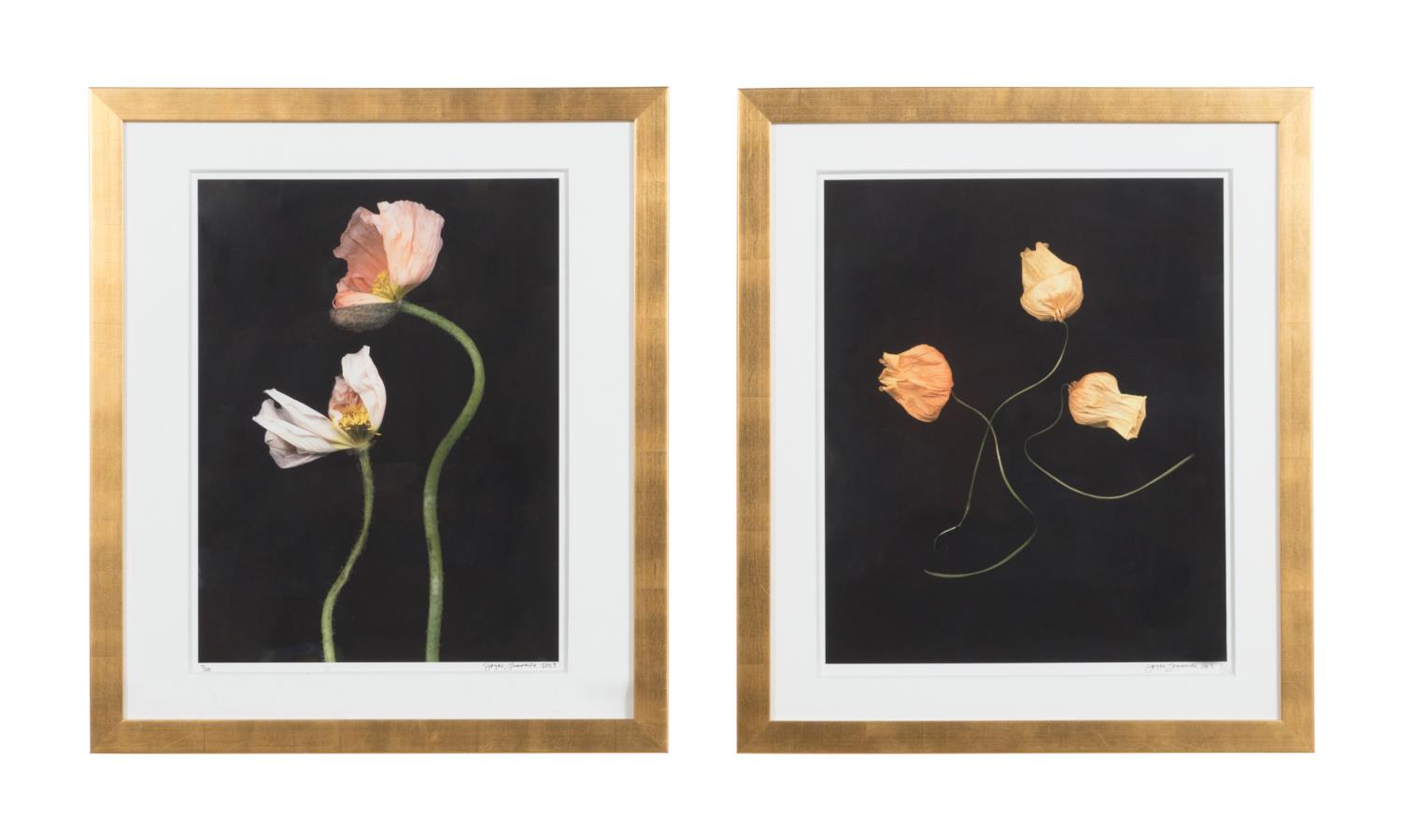 JOYCE TENNESON, 2 FLOWER PRINTS,