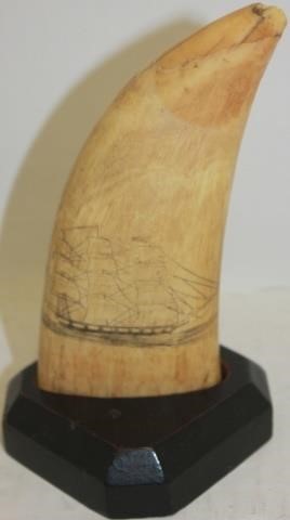 EARLY 19TH C SCRIMSHAW WHALE S 2c29f5