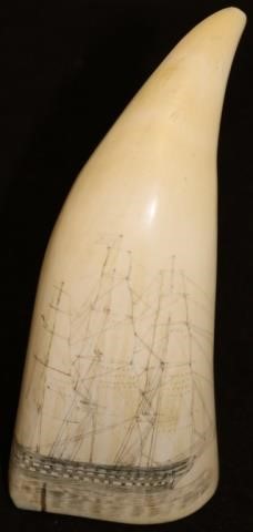 EARLY 19TH C SCRIMSHAW WHALE S 2c2a05