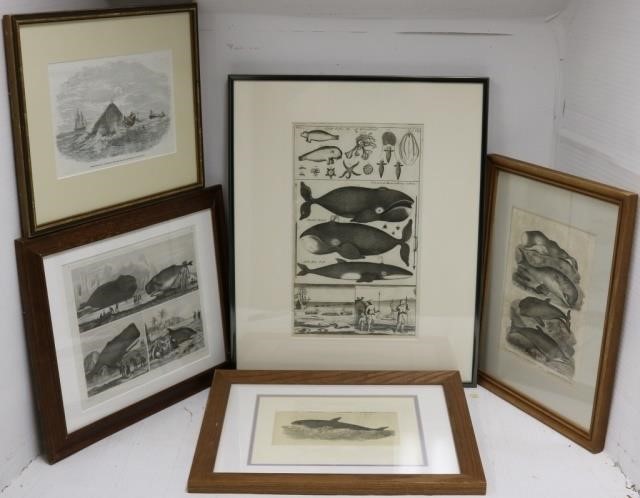 5 WHALING ENGRAVINGS 19TH C VARIOUS 2c2a44