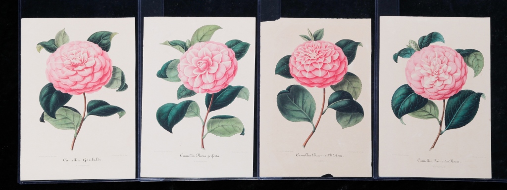 FOUR AMBROISE VERSHAFFELT LITHOGRAPHS  2c2f08