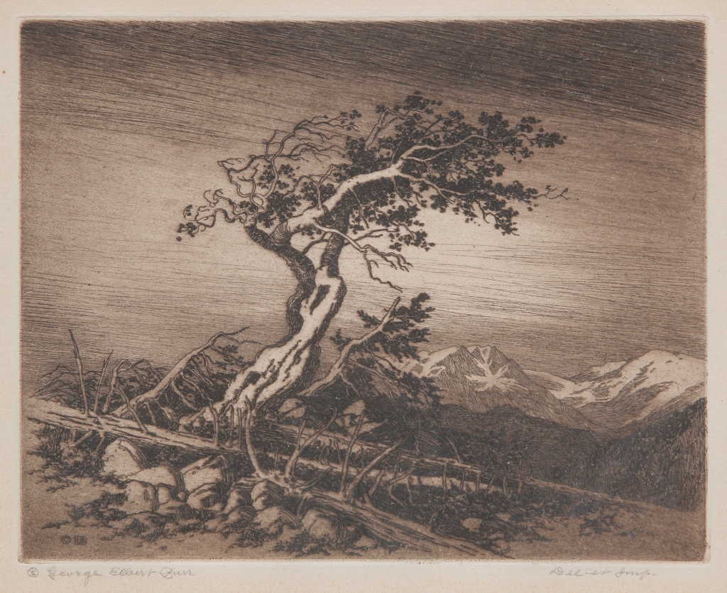 PINE TREE PRINT, GEORGE EDGAR BURR.