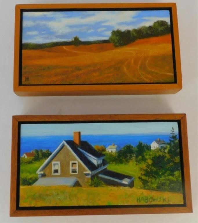 2 PAINTINGS BY BRUCE HABOWSKI 20th 21st century  2c1918