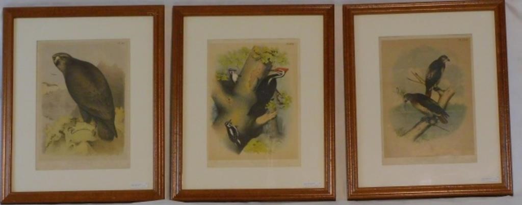 LOT OF SIX FRAMED AND GLAZED COLORED 2c1978