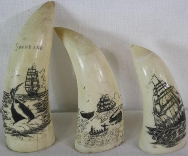 LOT OF THREE SCRIMSHAWED WHALE S 2c1a5c