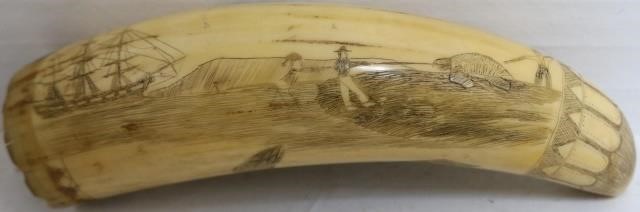 19TH CENTURY SCRIMSHAW WHALES TOOTH