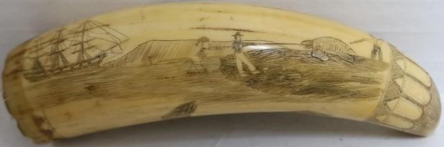 19TH CENTURY SCRIMSHAW WHALE'S