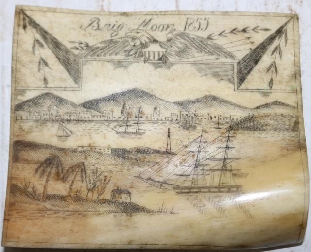 19TH CENTURY SCRIMSHAW PANBONE