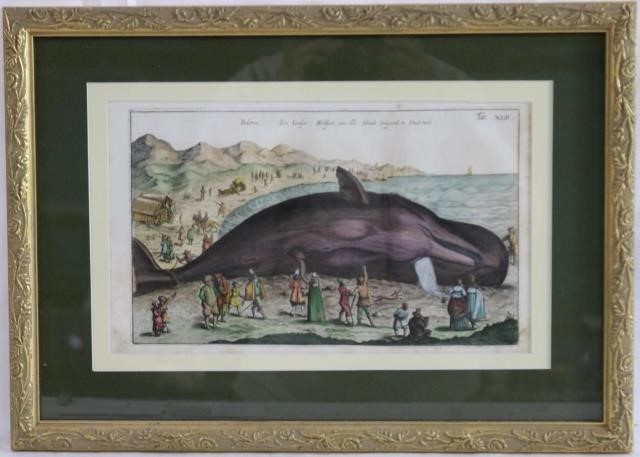 CA 1657 MERIAN WHALE PRINT PLATE 2c1d42