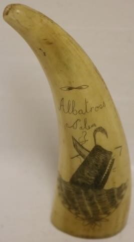 EARLY 20TH C SCRIMSHAW WHALE'S
