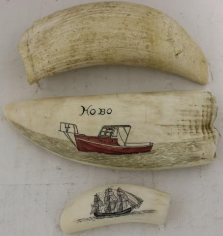 3 PIECES OF SCRIMSHAW TO INCLUDE 2c22a3