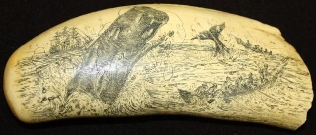 EARLY 20TH C SCRIMSHAW WHALES TOOTH