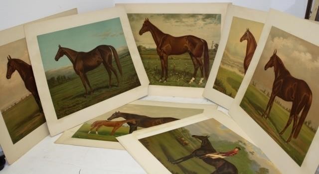 8 LATE 19TH C COLORED CHROMOLITHOGRAPHS,EQUESTRIAN