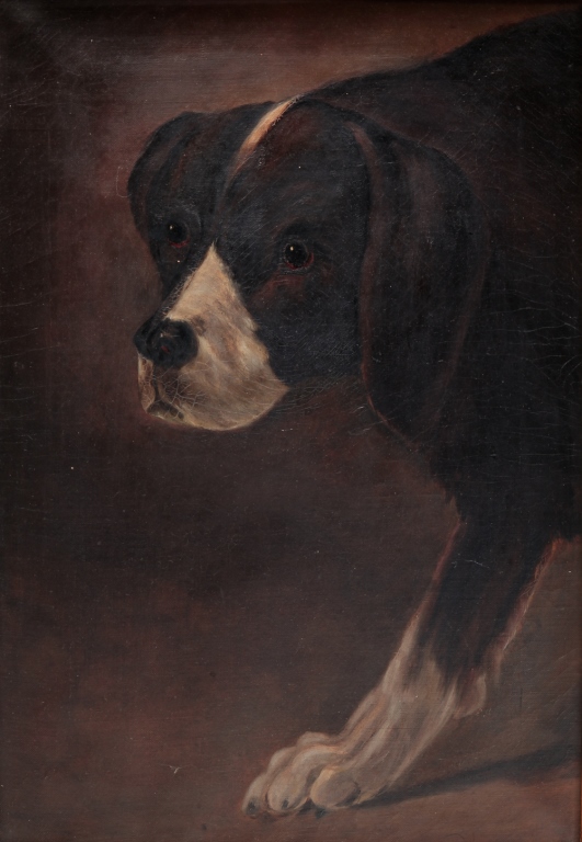 PORTRAIT OF A DOG. American, early 20th