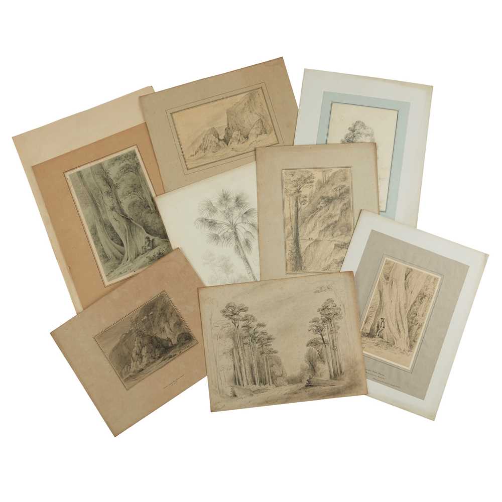 SWAINSON WILLIAM 67 PENCIL SKETCHES 2cd27a