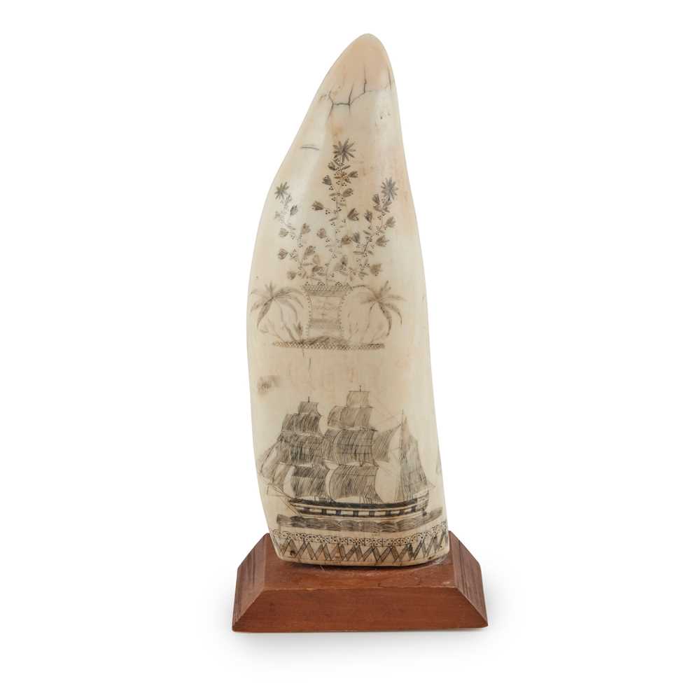 Y SCRIMSHAW WHALE'S TOOTH
19TH
