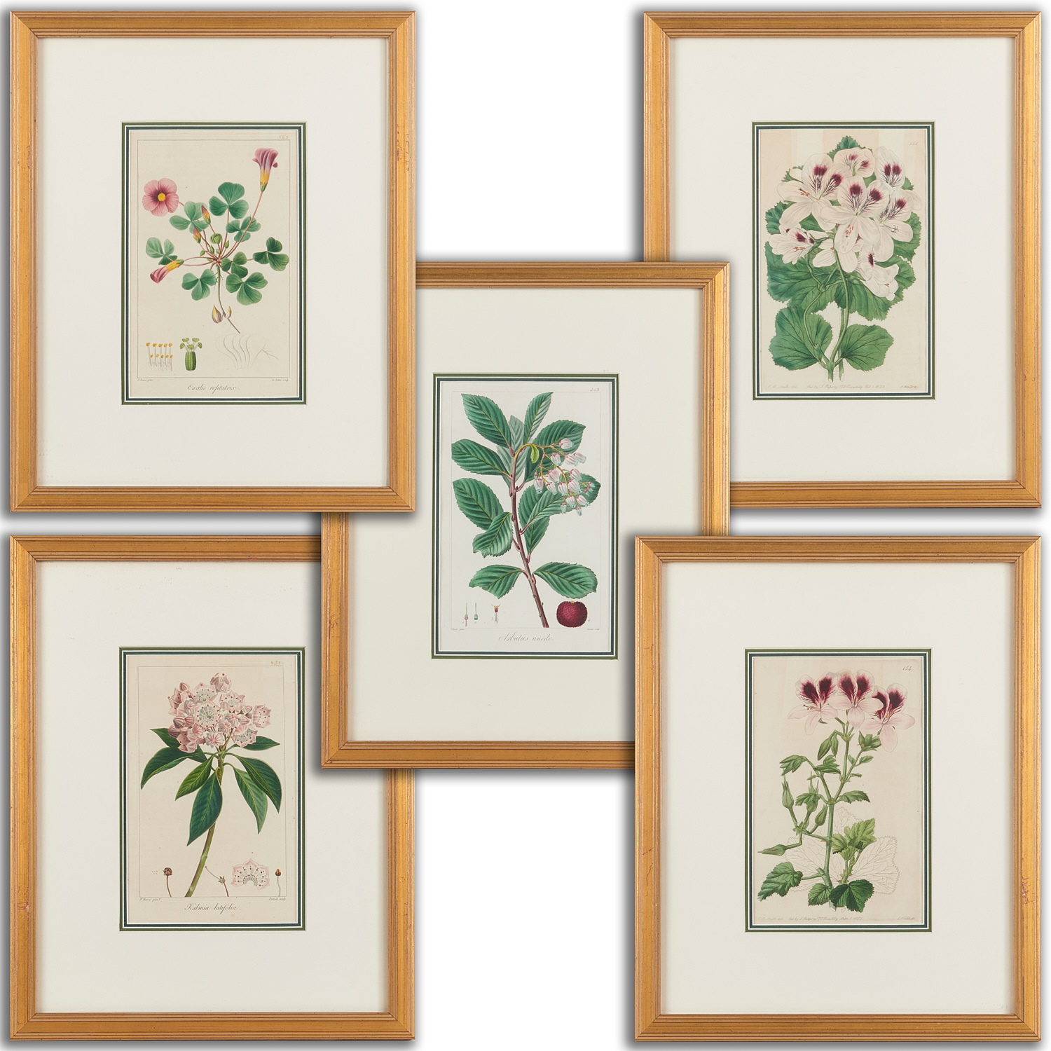  5 FLORAL ENGRAVINGS E D SMITH  2ced5a