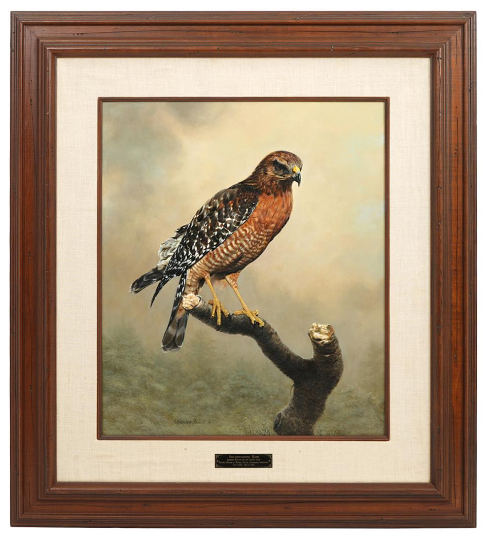 CHARLES FRACE RED SHOULDERED HAWK  2cf0b0