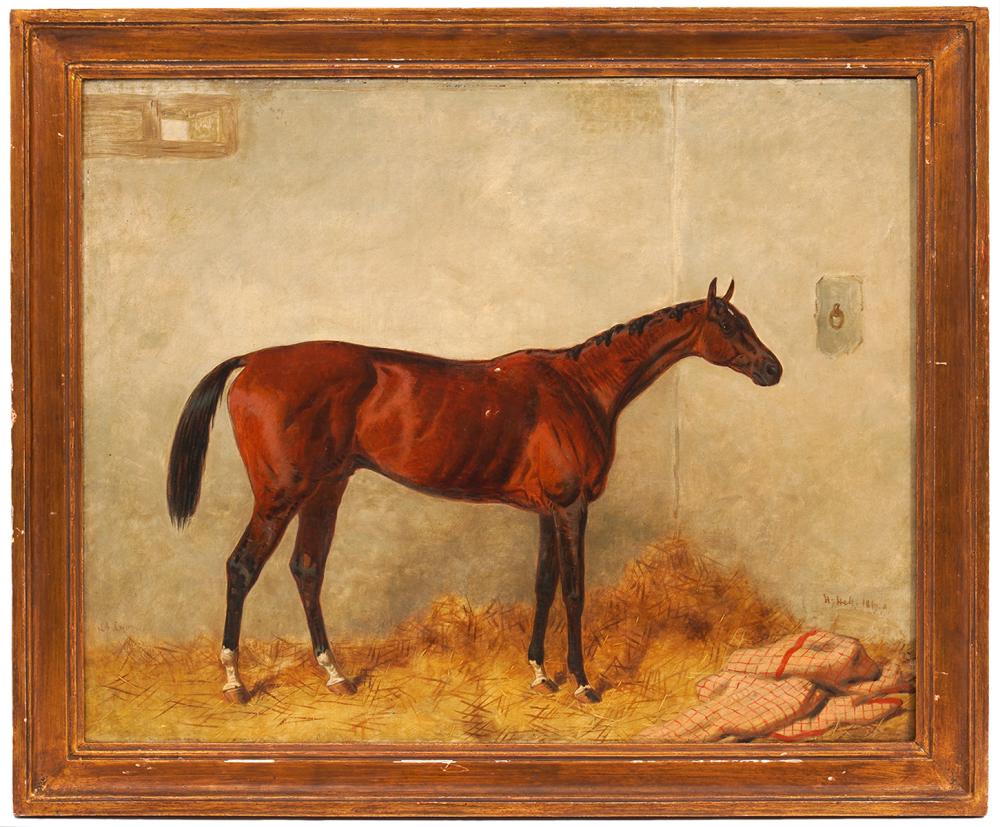 HARRY HALL LORD LYON HORSE OIL ON