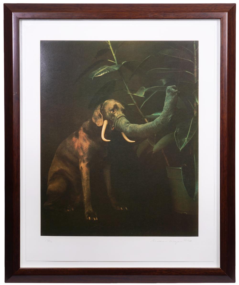 WILLIAM WEGMAN ELEPHANT SCREENPRINTWilliam