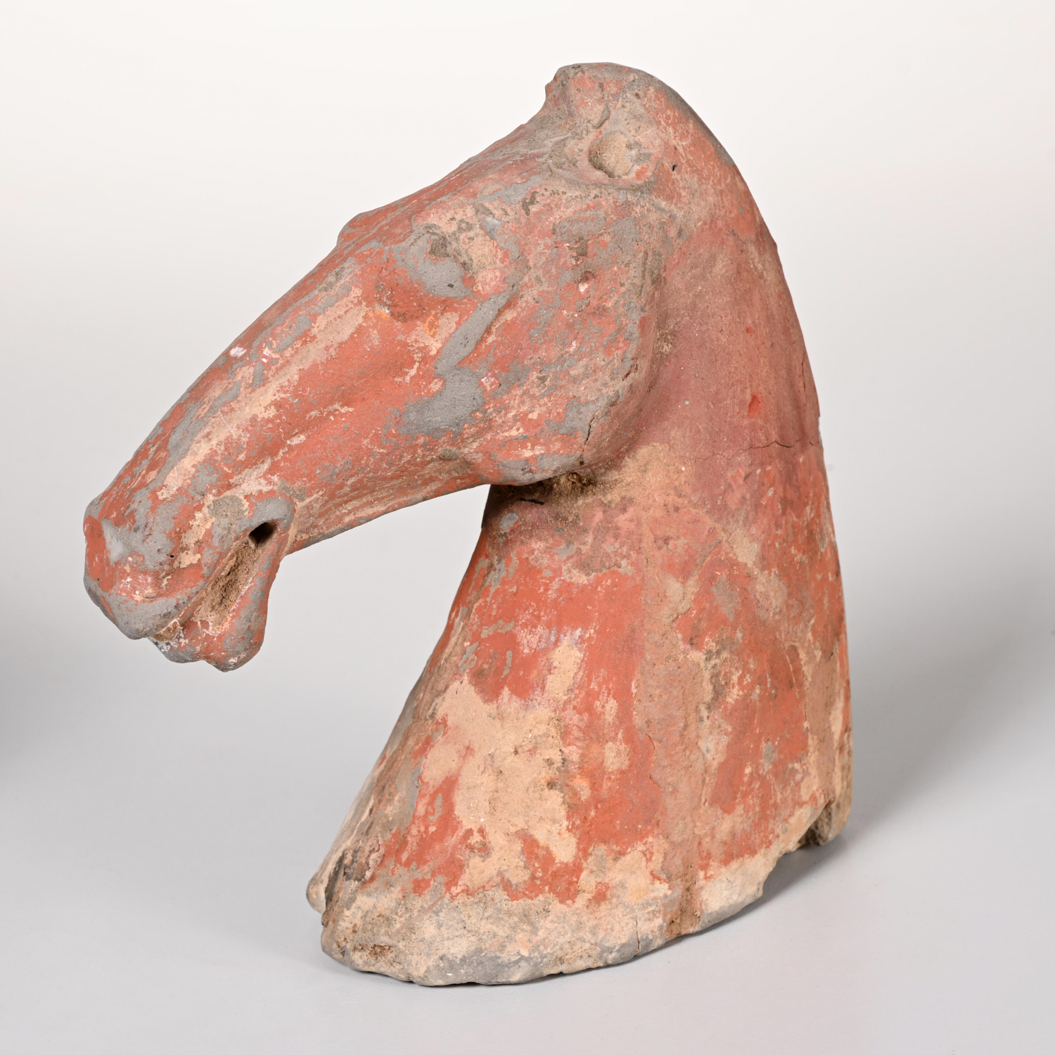 CHINESE TERRACOTTA TANG HORSE HEAD 2ce12d