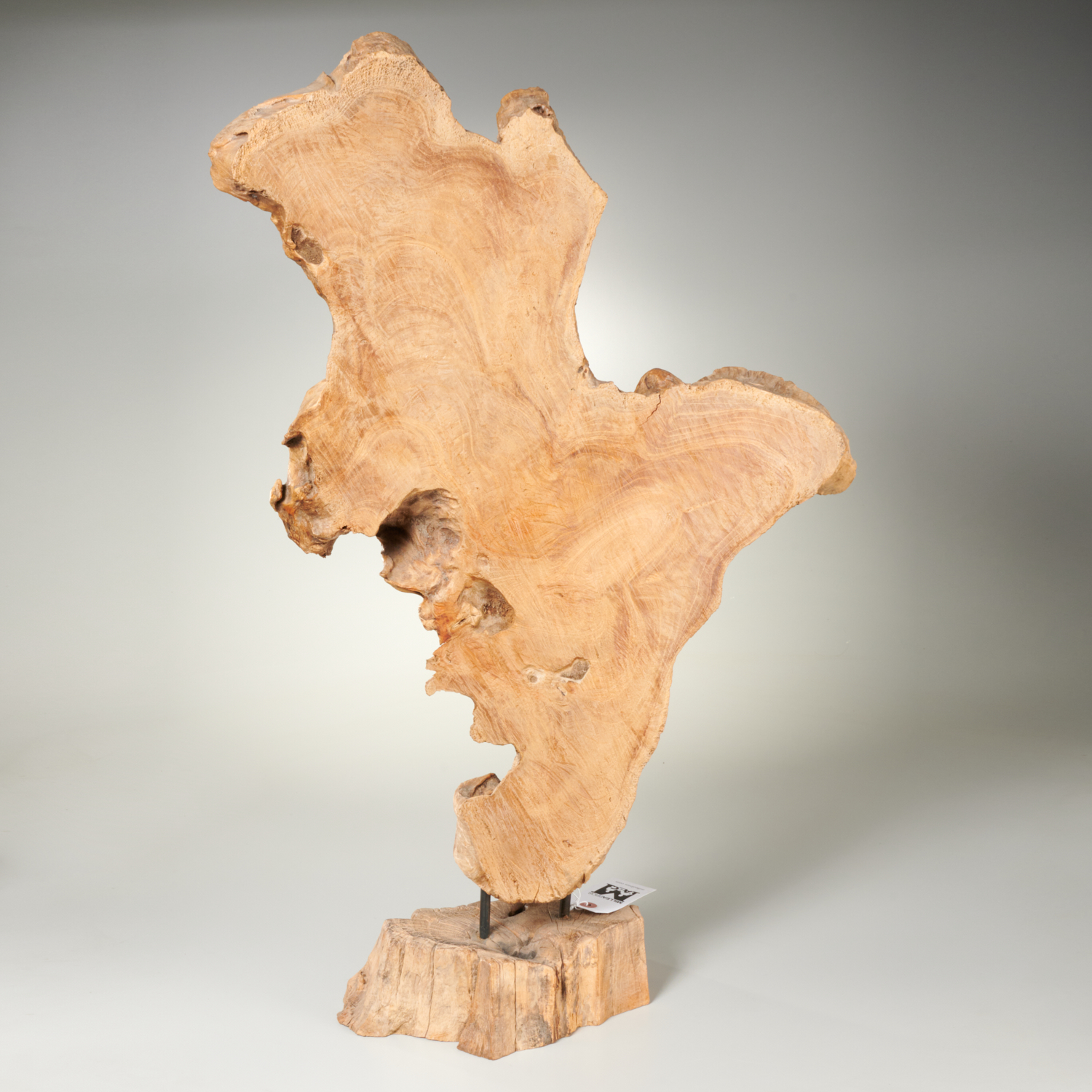 MODERNIST FREE FORM DRIFTWOOD SCULPTURE 2ce31a