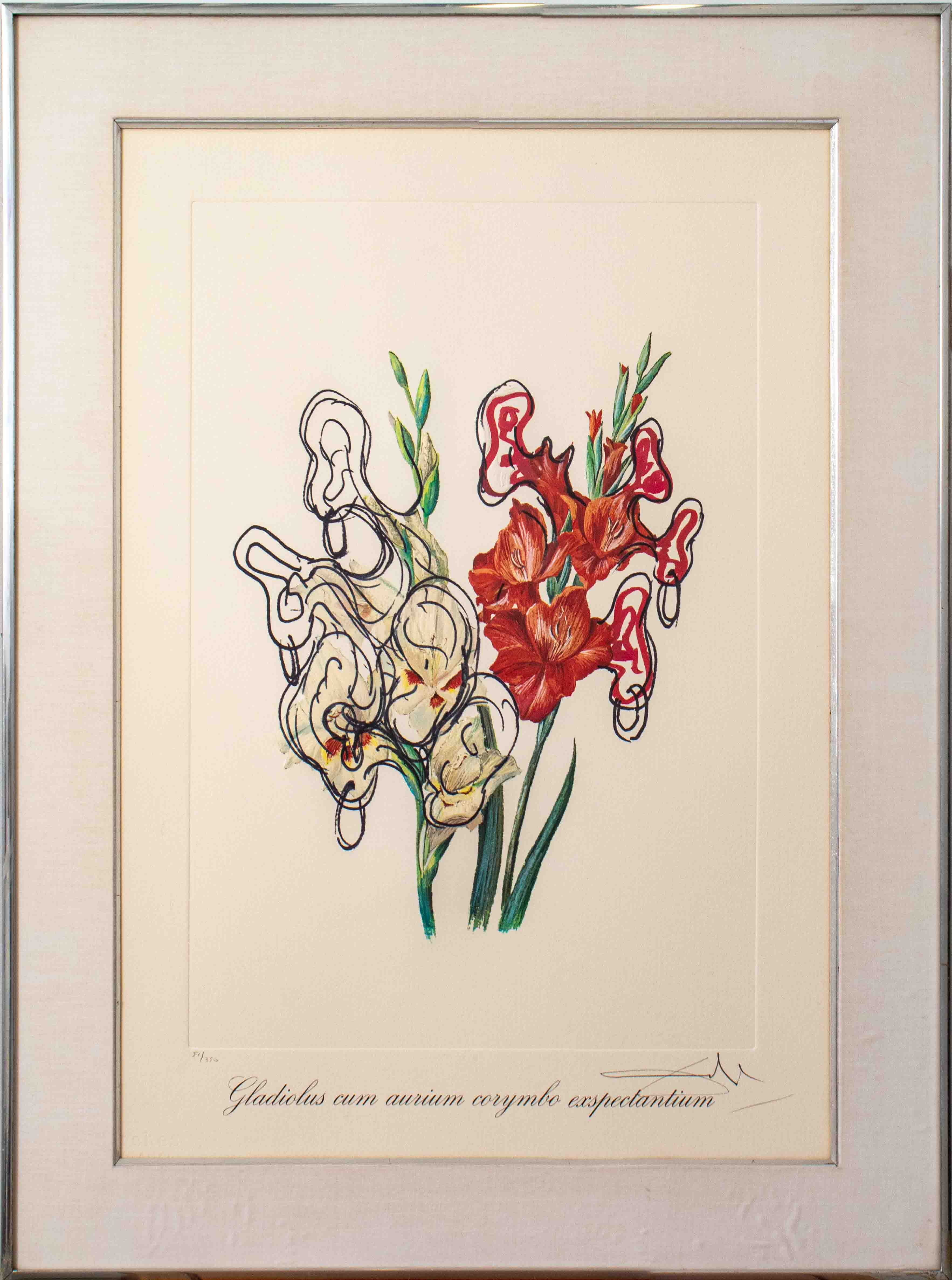 SALVADOR DALI GLADIOLUS CUM AURIUM  2d1e3c