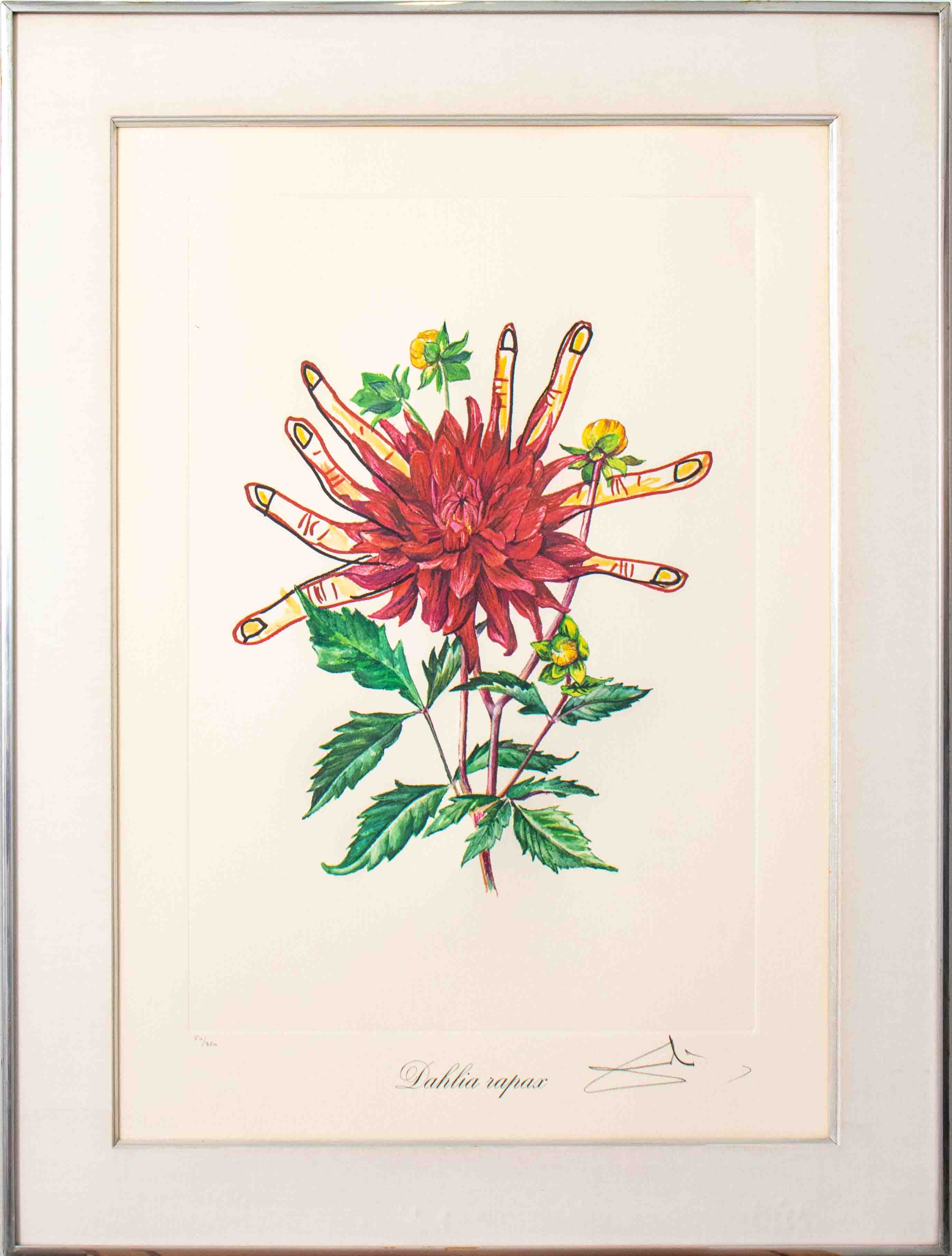 SALVADOR DALI DAHLIA RAPAX LITHOGRAPH