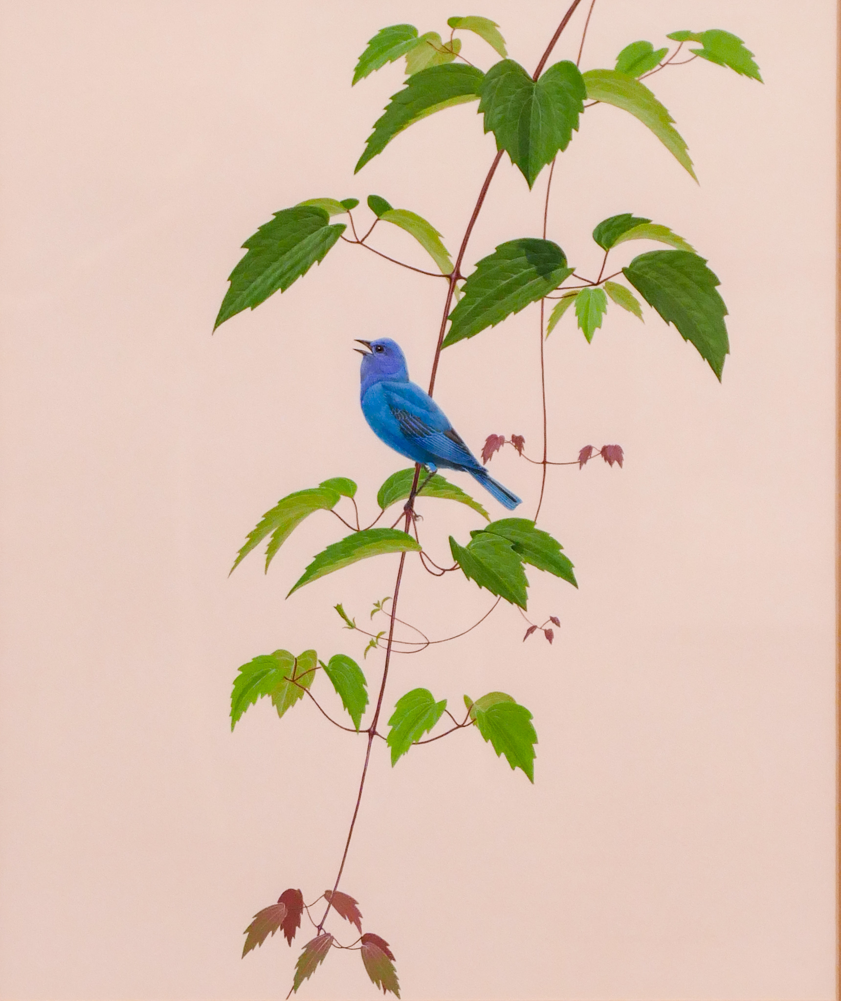 Lucien Harris Blue Bird on Vine